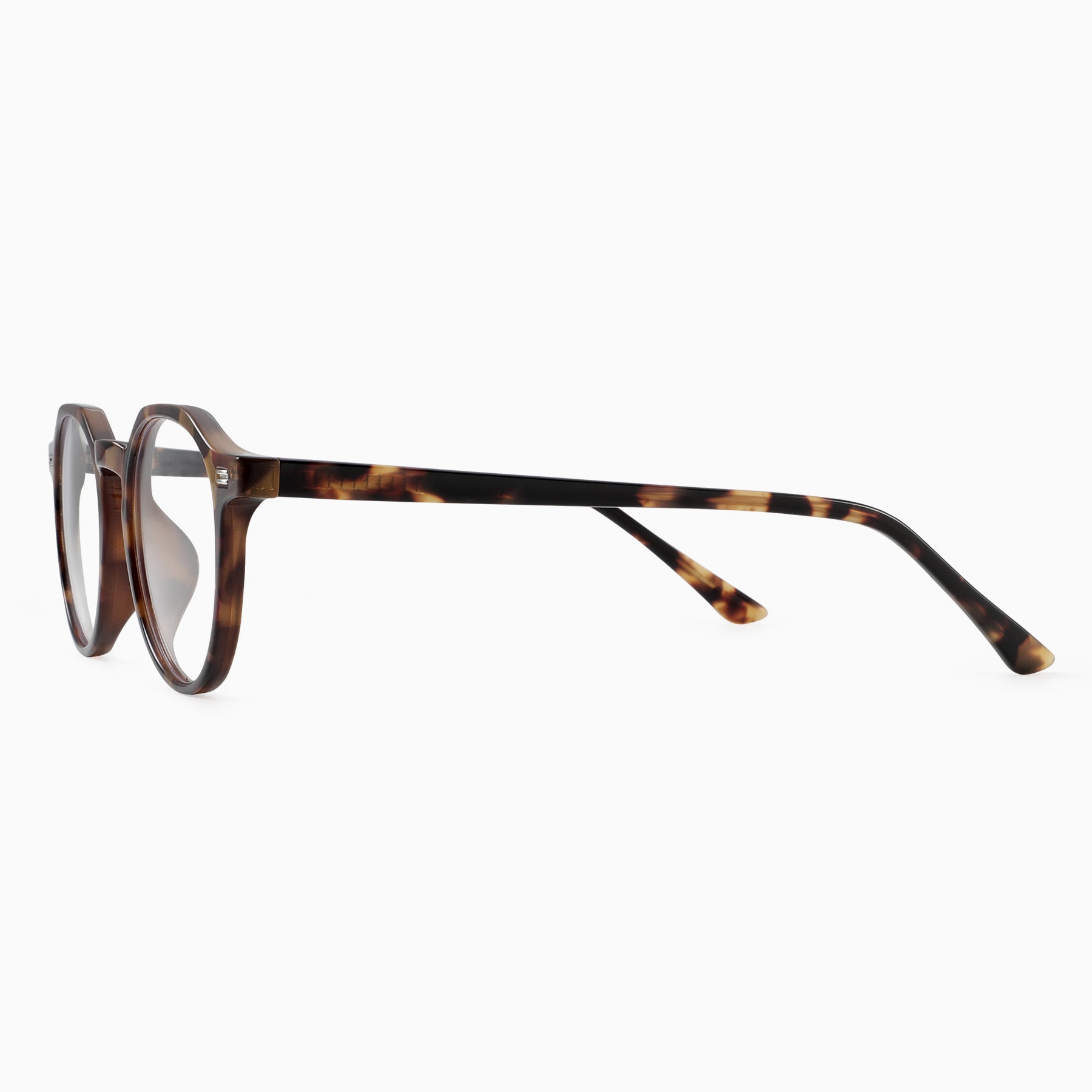 #color_Tortoise