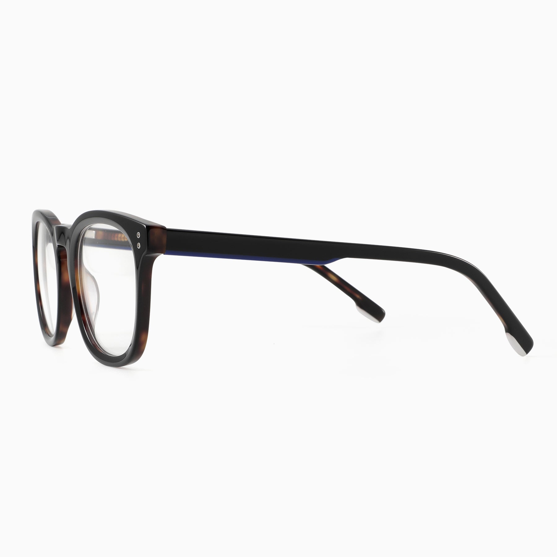 #color_Tortoise wiht Blue and White