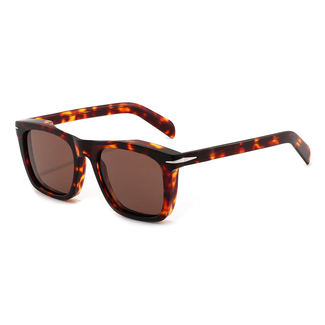 #color_Tortoise with Brown